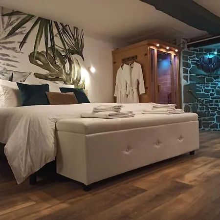 L'etreinte, De Charme Avec Jacuzzi Interieur Et Sauna Feriehus Guéméné-sur-Scorff